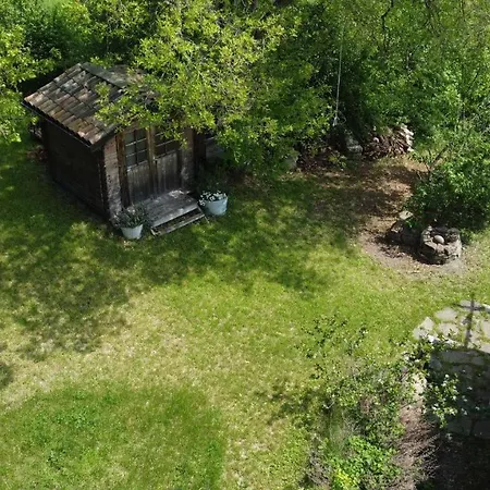 Il Bosco Dei Mille Frutti Canossa