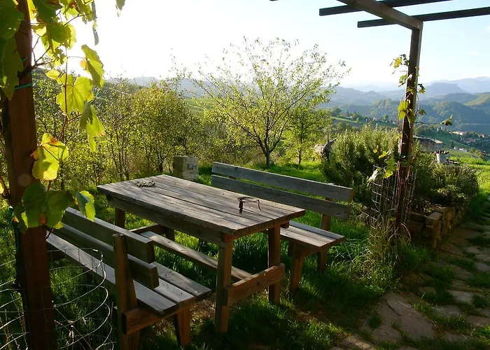 Il Bosco Dei Mille Frutti * Canossa