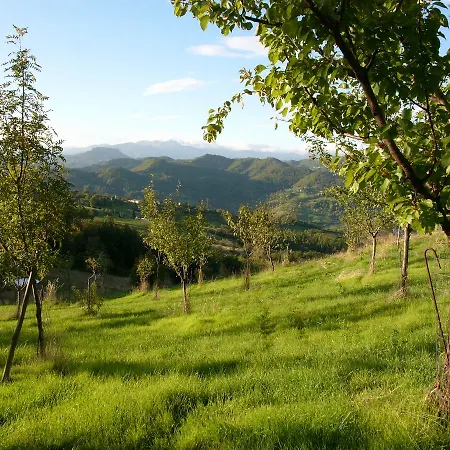 Lodge Il Bosco Dei Mille Frutti