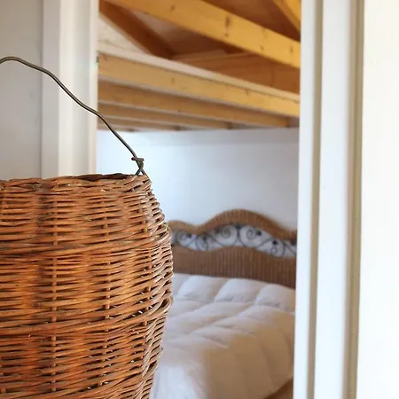 Il Bosco Dei Mille Frutti Canossa