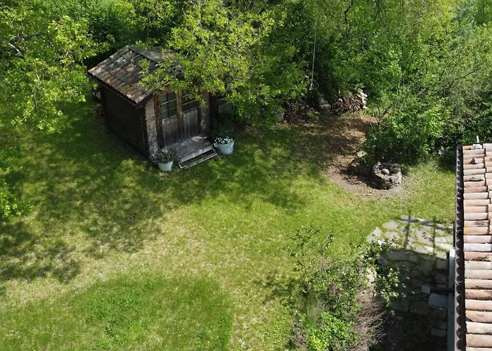 Il Bosco Dei Mille Frutti Canossa