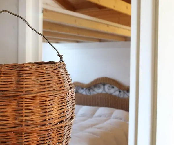 Il Bosco Dei Mille Frutti Canossa